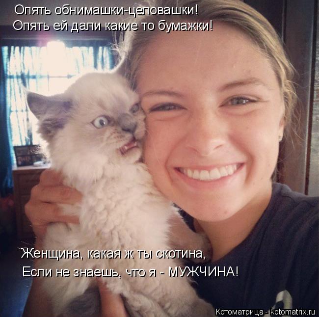 Котоматрица: Опять обнимашки-целовашки! Опять ей дали какие то бумажки! Женщина, какая ж ты скотина, Если не знаешь, что я - МУЖЧИНА!