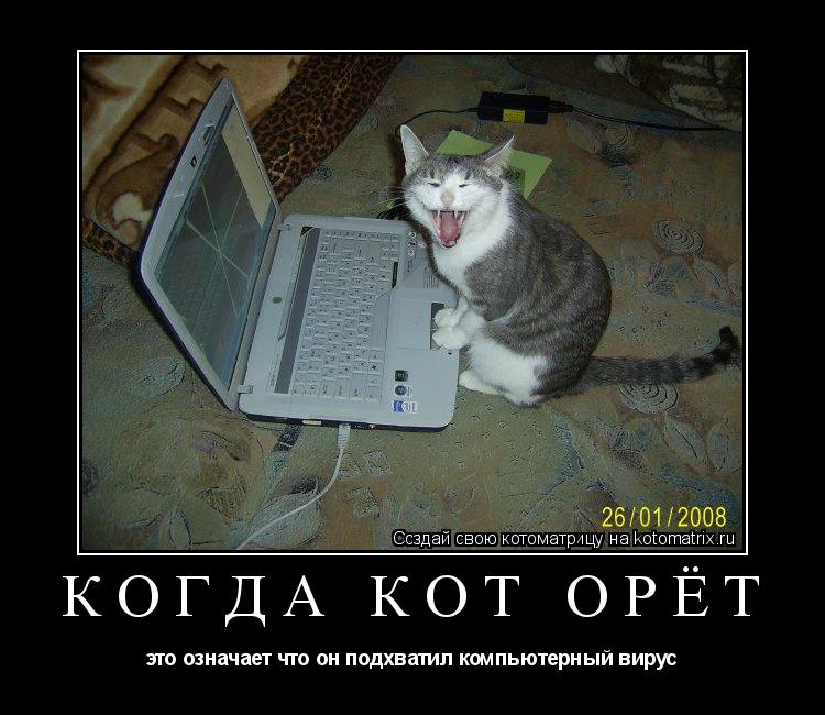 Котоматрица: КОГДА КОТ ОРЁТ это означает что он подхватил компьютерный вирус