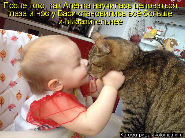 Котоматрица: После того, как Алёнка научилась целоваться, глаза и нос у Васи становились всё больше  и выразительнее