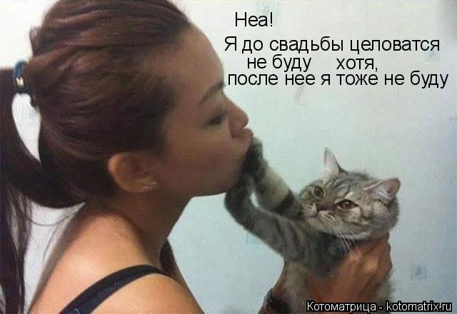 Котоматрица: Неа! Я до свадьбы целоватся  не буду хотя, после нее я тоже не буду