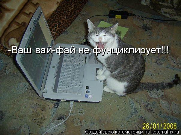 Котоматрица: -Ваш вай-фай не фунциклирует!!!