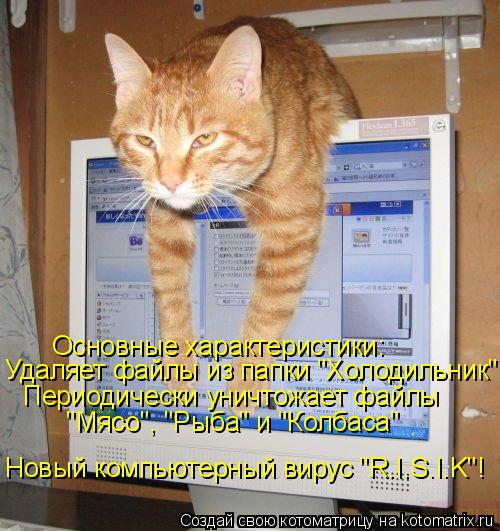 Котоматрица: Новый компьютерный вирус "R.I.S.I.K"! Основные характеристики: Удаляет файлы из папки "Холодильник" Периодически уничтожает файлы  "Мясо", "Рыба" 