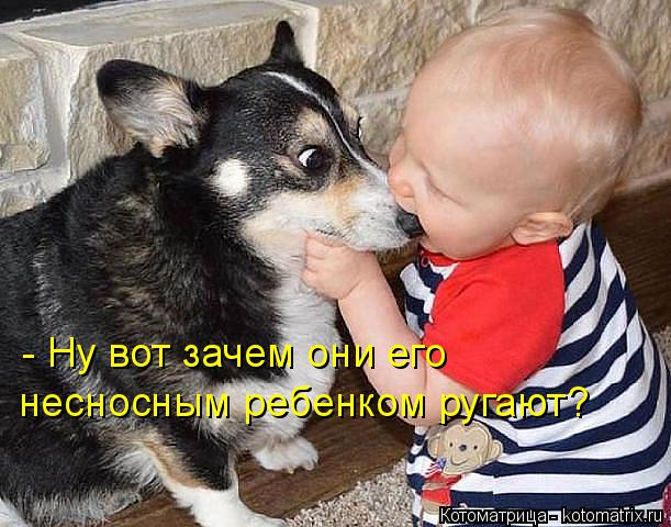 - Ну вот зачем они его несносным ребенком ругают?... Котоматрица: - Ну вот зачем они его несносным ребенком ругают?