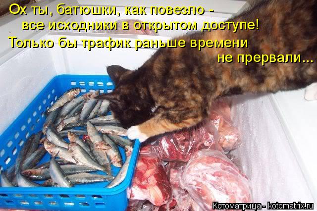 Котоматрица: Ох ты, батюшки, как повезло - все исходники в открытом доступе! Только бы трафик раньше времени  не прервали...