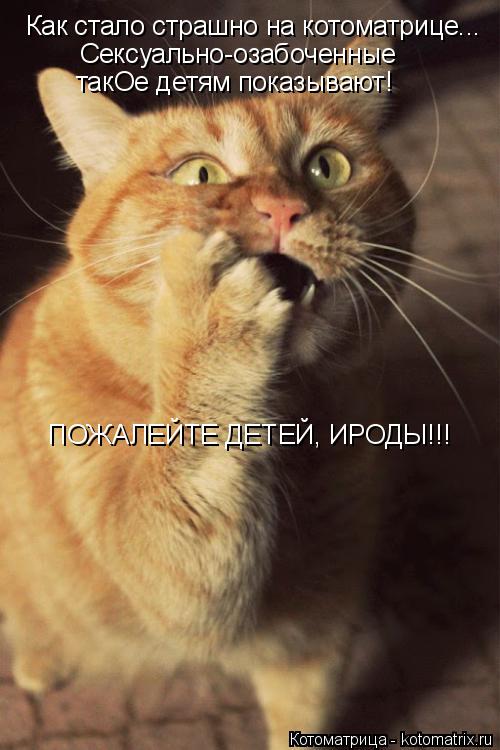 Котоматрица: Как стало страшно на котоматрице... Сексуально-озабоченные  такОе детям показывают! ПОЖАЛЕЙТЕ ДЕТЕЙ, ИРОДЫ!!!