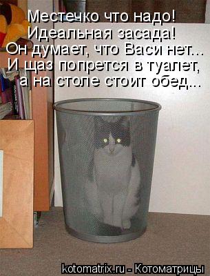Котоматрица: Местечко что надо!  Идеальная засада! Он думает, что Васи нет... И щаз попрется в туалет, а на столе стоит обед...