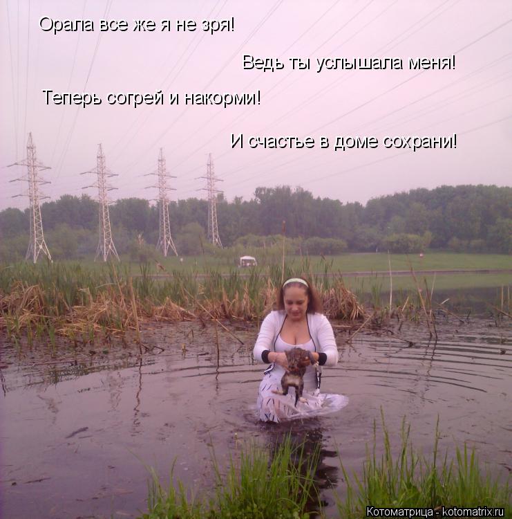 Котоматрица: Орала все же я не зря! Ведь ты услышала меня! Теперь согрей и накорми! И счастье в доме сохрани!