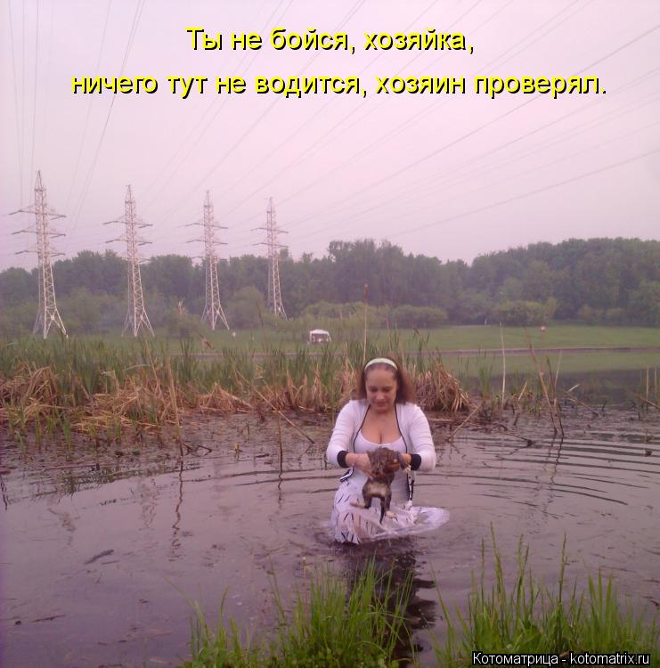 Котоматрица: Ты не бойся, хозяйка, ничего тут не водится, хозяин проверял.