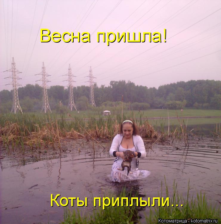 Котоматрица: Весна пришла! Коты приплыли...