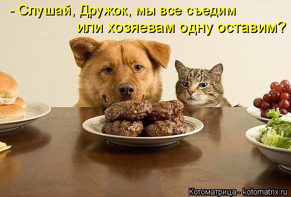 Котоматрица: - Слушай, Дружок, мы все съедим  или хозяевам одну оставим?