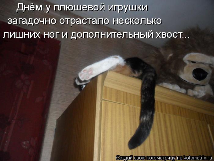 Котоматрица: Днём у плюшевой игрушки загадочно отрастало несколько лишних ног и дополнительный хвост...