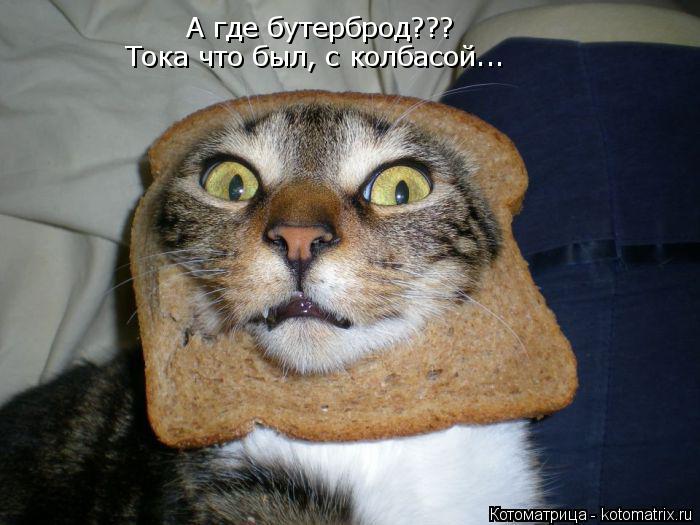 Котоматрица: А где бутерброд??? Тока что был, с колбасой...