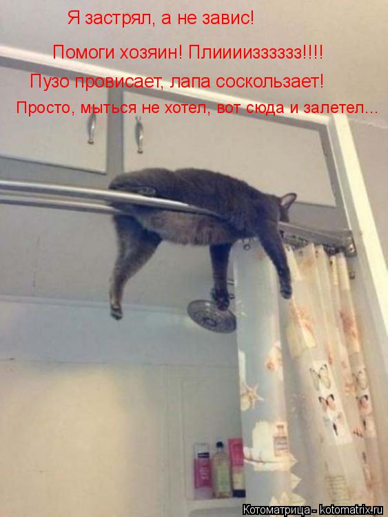Котоматрица: Я застрял, а не завис! Помоги хозяин! Плиииизззззз!!!! Пузо провисает, лапа соскользает! Просто, мыться не хотел, вот сюда и залетел...