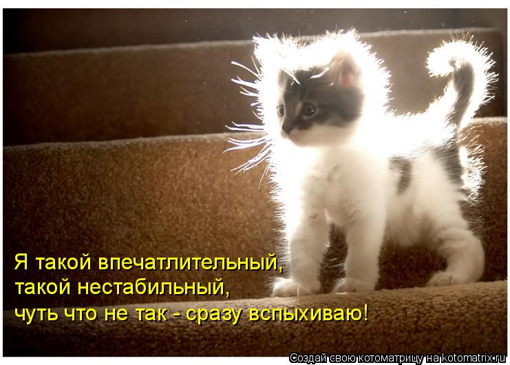 Котоматрица: Я такой впечатлительный, такой нестабильный, чуть что не так - сразу вспыхиваю!