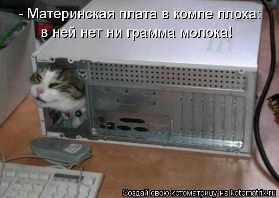 - Материнская плата в компе плоха: в ней нет ни грамма молока!... Котоматрица: - Материнская плата в компе плоха: в ней нет ни грамма молока!