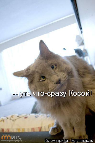 Котоматрица: -Чуть что-сразу Косой!