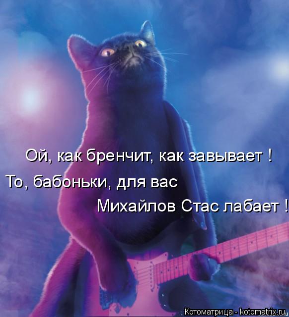Котоматрица: Ой, как бренчит, как завывает ! То, бабоньки, для вас  Михайлов Стас лабает !