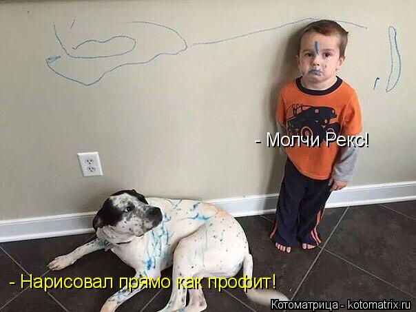 Котоматрица: - Нарисовал прямо как профит! - Молчи Рекс!