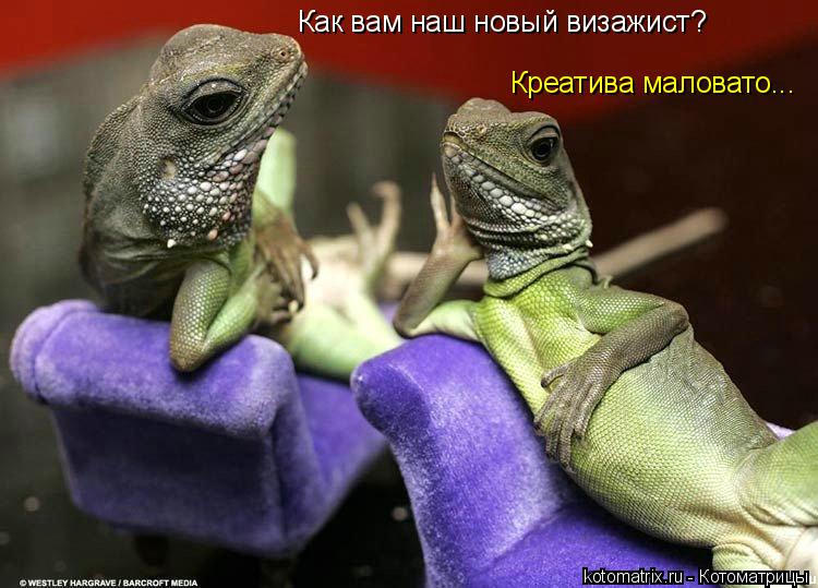 Котоматрица: Как вам наш новый визажист? Креатива маловато...