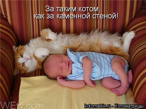 Котоматрица: За таким котом,  как за каменной стеной!