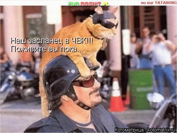 Котоматрица: Наш засланец в ЧВК!!! Поживите вы пока...