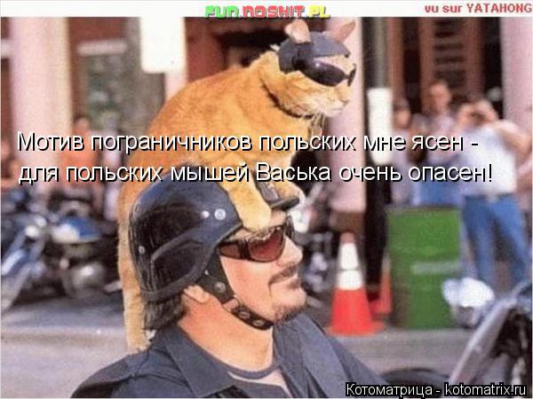 Котоматрица: Мотив пограничников польских мне ясен - для польских мышей Васька очень опасен!