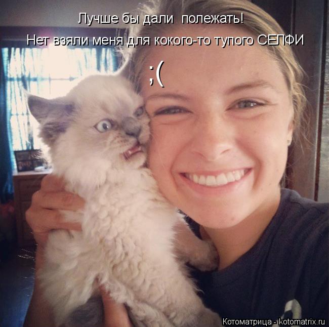 Котоматрица: Лучше бы дали  полежать! Нет взяли меня для кокого-то тупого СЕЛФТ Нет взяли меня для кокого-то тупого СЕЛФИ ;(