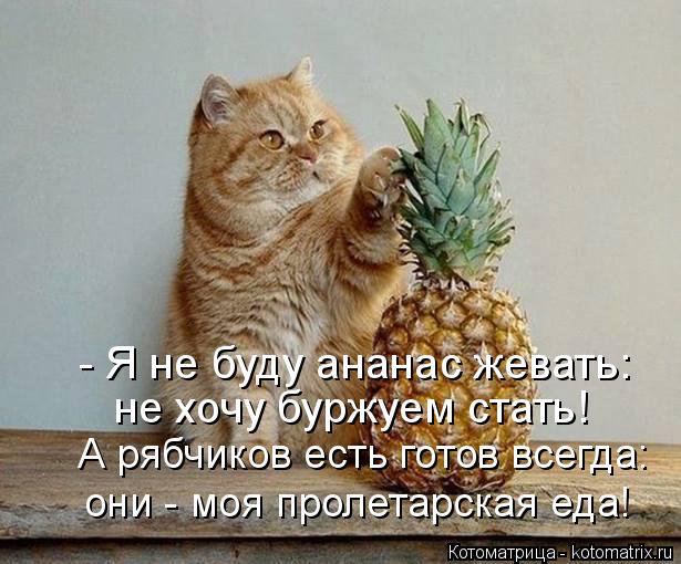 Котоматрица: А рябчиков есть готов всегда: они - моя пролетарская еда! - Я не буду ананас жевать: не хочу буржуем стать!