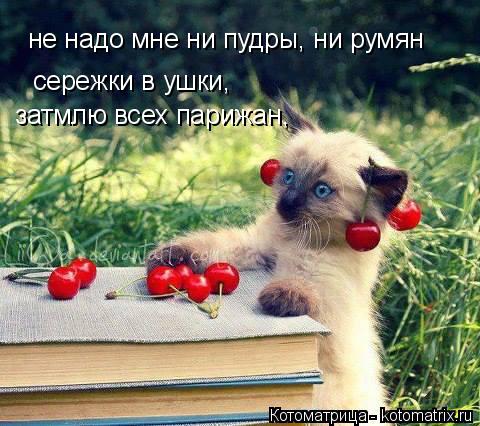 Котоматрица: не надо мне ни пудры, ни румян сережки в ушки, затмлю всех парижан,