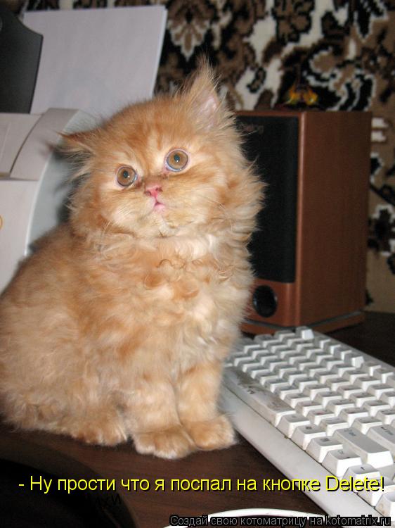 Котоматрица: - Ну прости что я поспал на кнопке Delete! Ихи