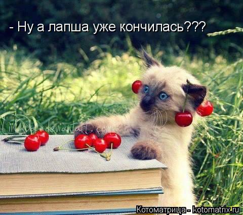 Котоматрица: - Ну а лапша уже кончилась???