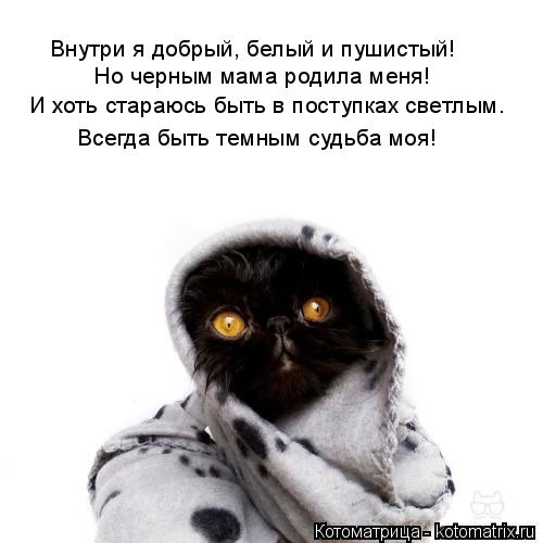 Котоматрица: И хоть стараюсь быть в поступках светлым. Всегда быть темным судьба моя! Но черным мама родила меня! Внутри я добрый, белый и пушистый!