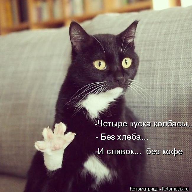 Котоматрица: -Четыре куска колбасы...  - Без хлеба... -И сливок...  без кофе