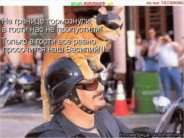 Котоматрица: На границе тормознули,  в гости нас не пропустили! Только в гости все равно просочится наш Василий!!!