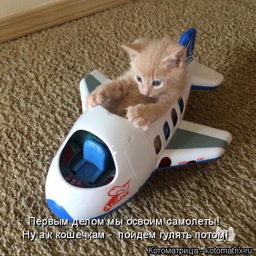 Котоматрица: Ну а к кошечкам -  пойдем гулять потом! Первым делом мы освоим самолеты!