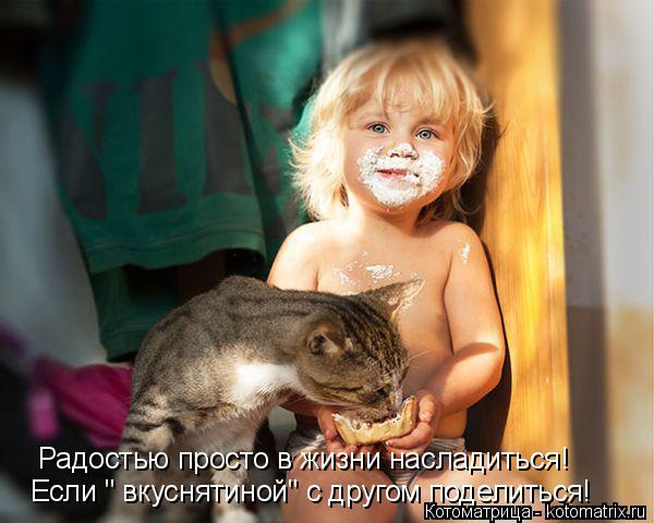 Котоматрица: Если " вкуснятиной" с другом поделиться! Радостью просто в жизни насладиться!