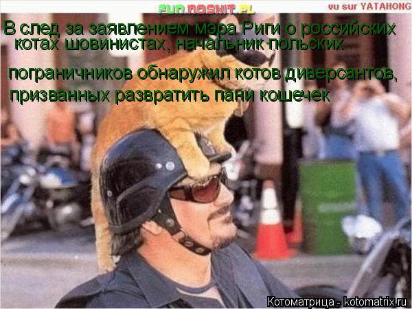Котоматрица: призванных развратить пани кошечек пограничников обнаружил котов диверсантов, В след за заявлением мэра Риги о российских котах шовинист