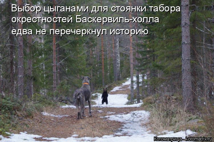 Котоматрица: Выбор цыганами для стоянки табора окрестностей Баскервиль-холла едва не перечеркнул историю