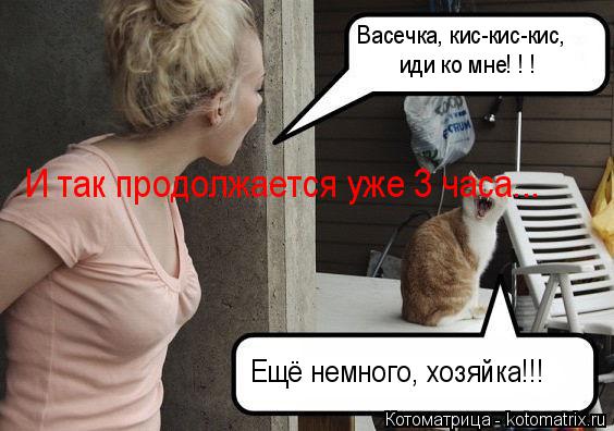 Котоматрица: Васечка, кис-кис-кис, иди ко мне! ! ! Ещё немного, хозяйка!!! И так продолжается уже 3 часа...