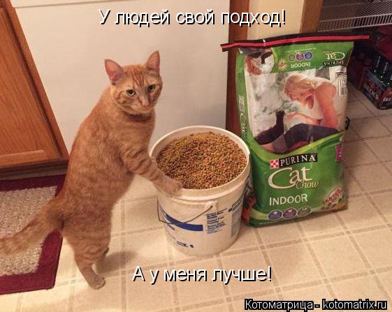 Котоматрица: У людей свой подход У людей свой подход! А у меня лучше!