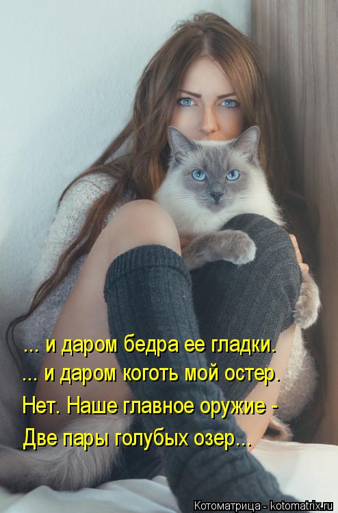Котоматрица: ... и даром бедра ее гладки. ... и даром коготь мой остер. Нет. Наше главное оружие - Две пары голубых озер...