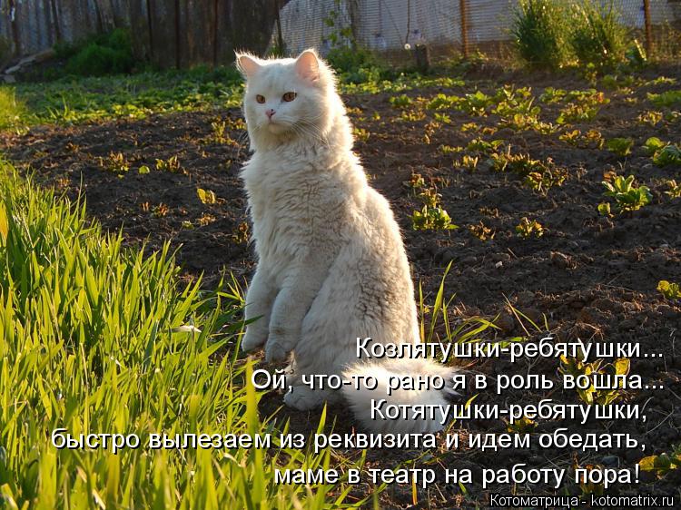 Котоматрица: Козлятушки-ребятушки... Ой, что-то рано я в роль вошла... Котятушки-ребятушки, быстро вылезаем из реквизита и идем обедать, маме в театр на раб