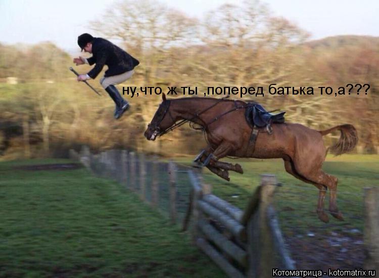 Котоматрица: ну,что ж ты ,поперед батька то,а???