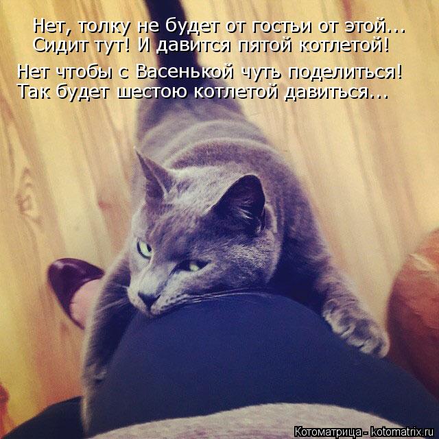 Котоматрица: Нет, толку не будет от гостьи от этой...  Сидит тут! И давится пятой котлетой! Нет чтобы с Васенькой чуть поделиться! Так будет шестою котлетой