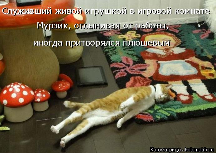 Котоматрица: Служивший живой игрушкой в игровой комнате  Мурзик, отлынивая от работы,  иногда притворялся плюшевым