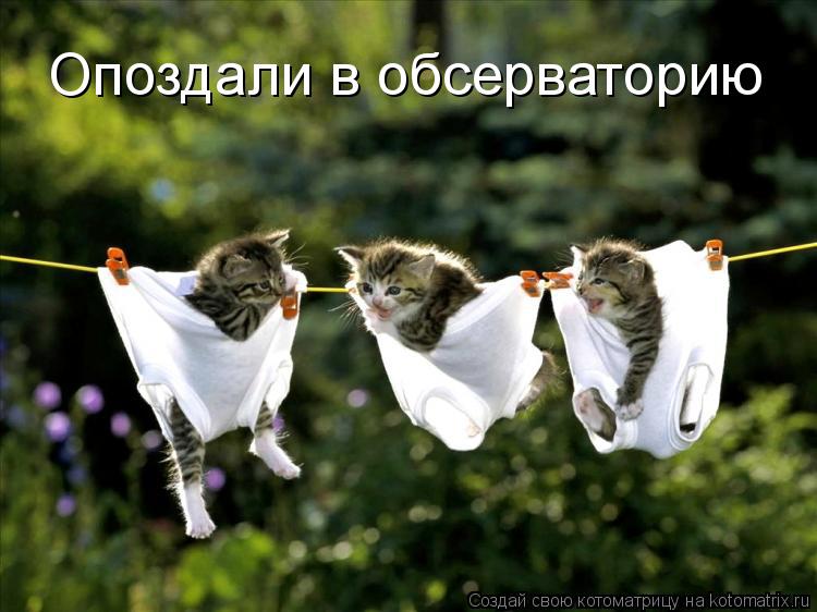 Котоматрица: Опоздали в обсерваторию