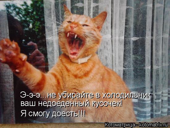 Котоматрица: Э-э-э...не убирайте в холодильник ваш недоеденный кусочек! Я смогу доесть!!!