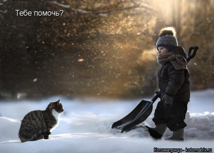 Котоматрица: Тебе помочь?