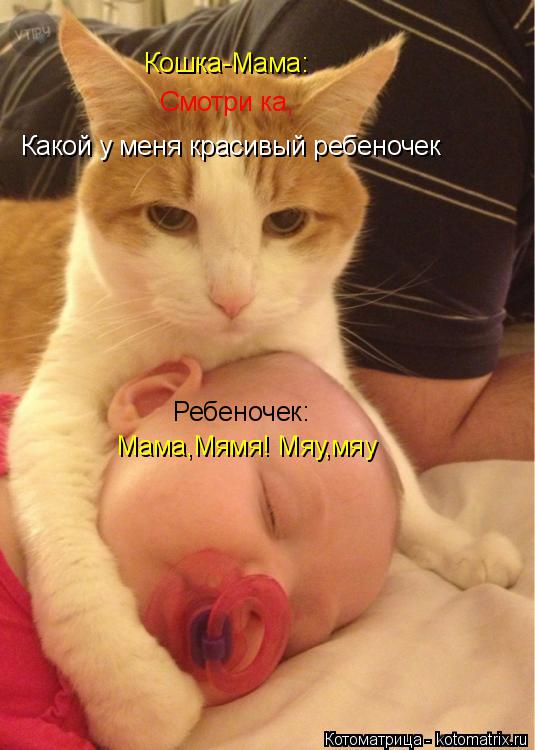 Котоматрица: Смотри ка, Мама,Мямя! Мяу,мяу Какой у меня красивый ребеночек Ребеночек: Кошка-Мама: