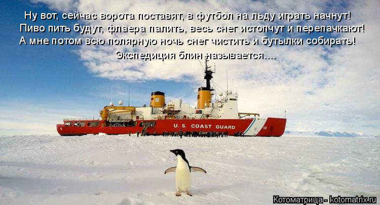 Котоматрица: Пиво пить будут, флаера палить, весь снег истопчут и перепачкают! А мне потом всю полярную ночь снег чистить и бутылки собирать! Ну вот, сейч
